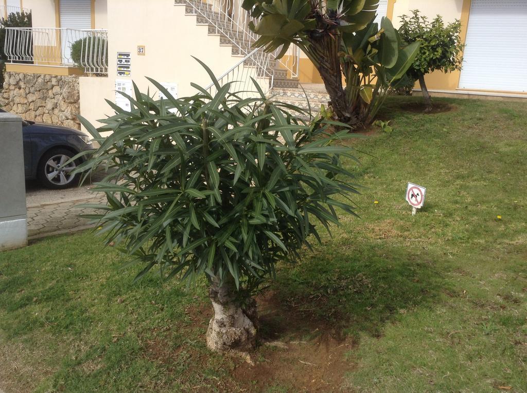 Votre Appartement A פורטימאו מראה חיצוני תמונה
